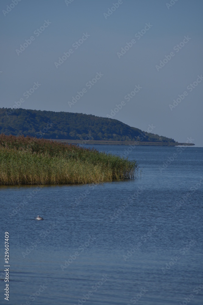 Frombork, Żuławy, Pomorze, Zalew, Wiślany, zatoka, morze, rezerwat, 