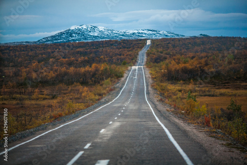 Road into autumn mountains