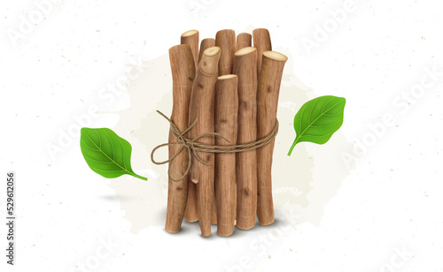 A Bundle of Ayurvedic Herb Ashwagandha shrub dry sticks vector illustration