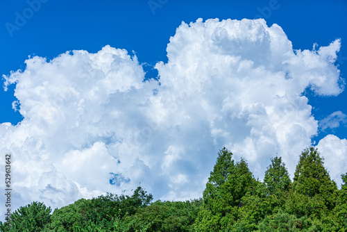 夏の青空と入道雲と森林（大泉緑地） © kiritoruhikari