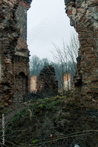 ruins of an old castle