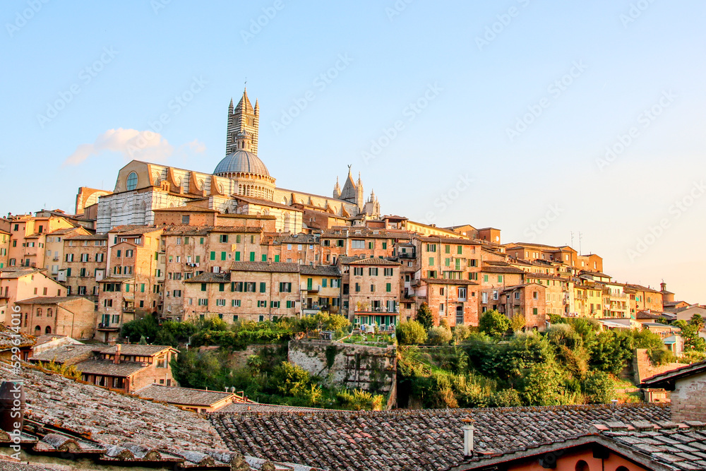view of the city of Siena, Italy