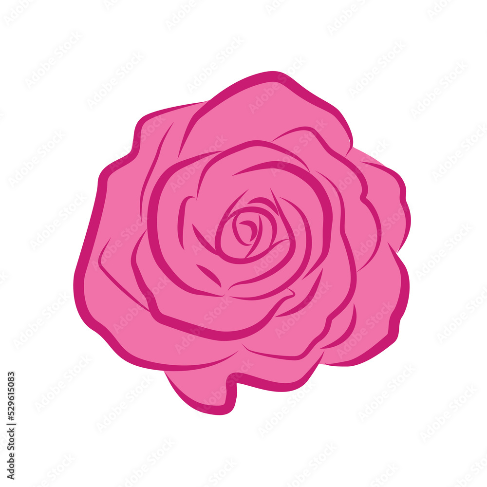 Rose flower vector isolated on a white background. Rose flower vector isolated on a white background.