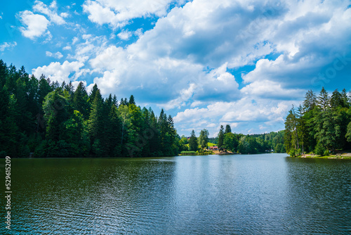 Germany, Ebnisee lake water nature landscape between green trees of forest near welzheim and kaisersbach