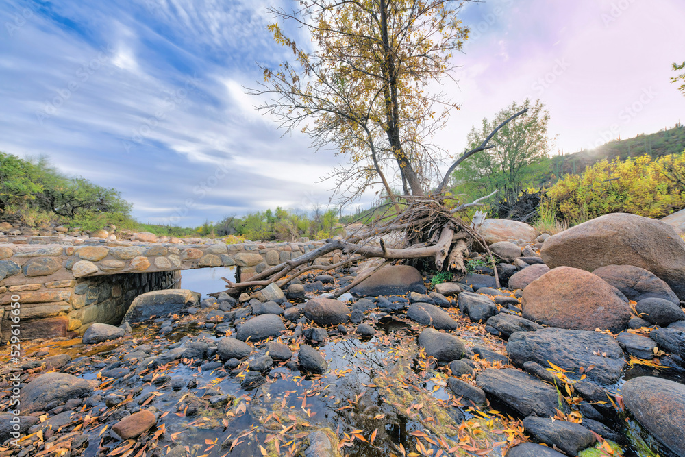 Scenic nature landscape with cloudy blue sky at Sabino Canyon State Park Scenic nature landscape with cloudy blue sky at Sabino Canyon State Park