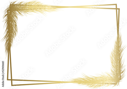 Pampas grass gold dried natural frame . Background in boho style. Flat lay with copy space, top view.  illustration of cortaderia selloana. png