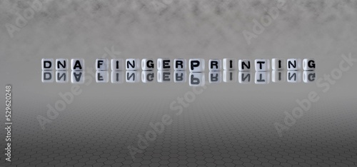 dna fingerprinting word or concept represented by black and white letter cubes on a grey horizon background stretching to infinity