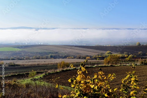 Autumn fog banks in the Transylvanian Carpathians