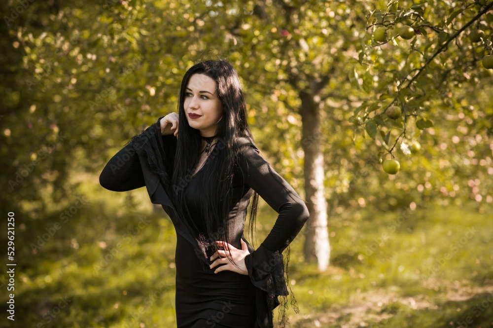 Young beautiful and mysterious Witch woman in black dress. Halloween holidays, magic time Young beautiful and mysterious Witch woman in black dress. Halloween holidays, magic time