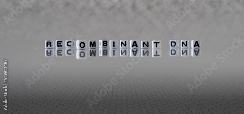 recombinant dna word or concept represented by black and white letter cubes on a grey horizon background stretching to infinity photo