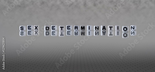 sex determination word or concept represented by black and white letter cubes on a grey horizon background stretching to infinity