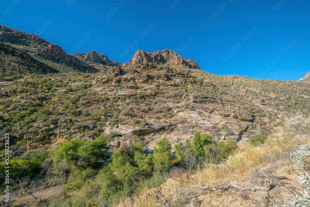 Sabino Canyon landscape in scenic Arizona national state park on a sunny day Sabino Canyon landscape in scenic Arizona national state park on a sunny day