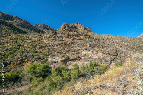 Sabino Canyon landscape in scenic Arizona national state park on a sunny day photo