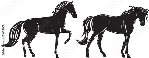 black horse silhouette isolated, vector