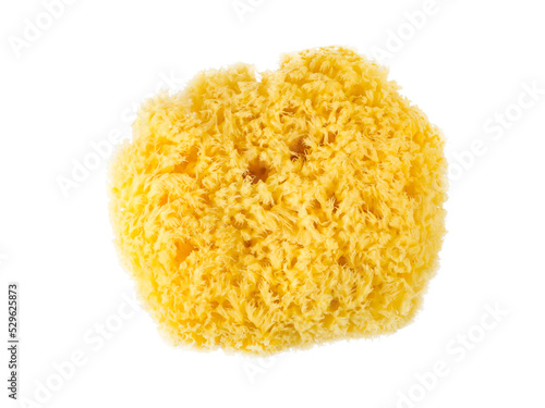 Tableau sur toile Round yellow natural sponge flatlay isolated transparent png