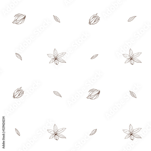 Seamless pattern with Outlined hand drawind geometrical blossoming flower. Ylang-ylang textile vector print photo