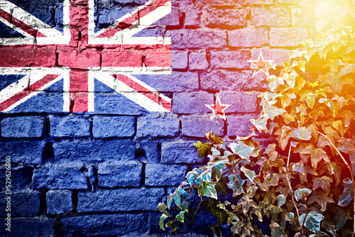 New Zealand grunge flag on brick wall with ivy plant sun haze view © xbrchx