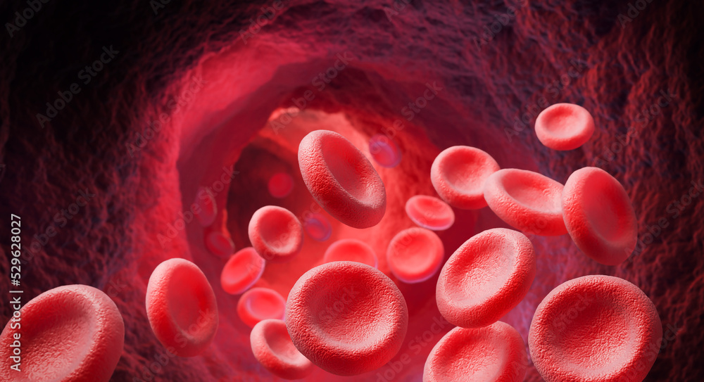 Red Blood Cell In An Artery Blood Flow Medical Human Health care red-blood-cell-in-an-artery-blood-flow-medical-human-health-care