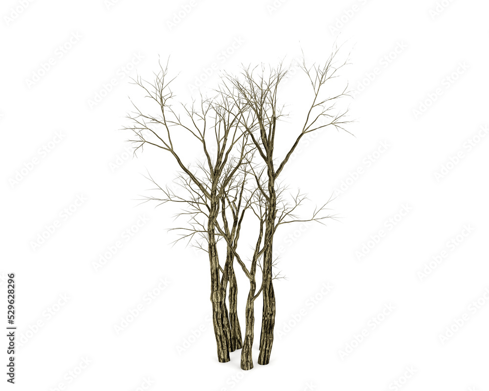Dead tree isolated on white background, 3D rendering Stock Illustration ...