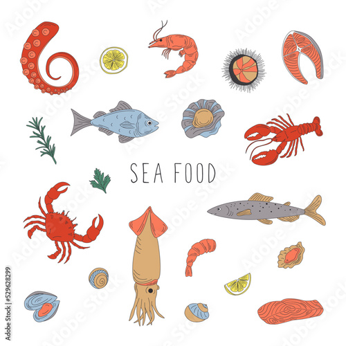 Sea food set. Flat hand drawn vector images for your design.