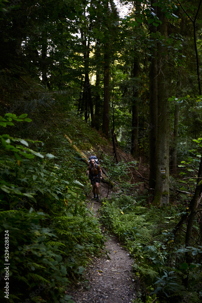 Male tourist with backpack walking by Forest trail in Carpathian Mountains, Ukraine. Walking and hiking trails in Marmaros ridge. Rural area of carpathian mountains in autumn Male tourist with backpack walking by Forest trail in Carpathian Mountains, Ukraine. Walking and hiking trails in Marmaros ridge. Rural area of carpathian mountains in autumn