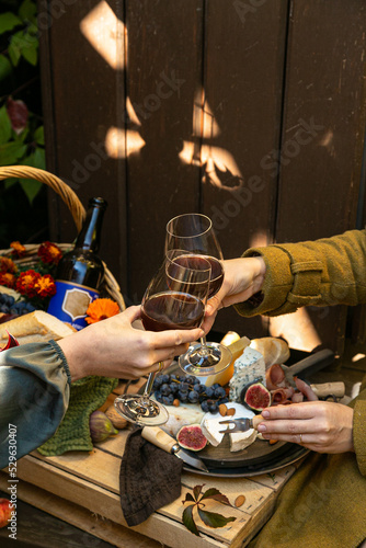 Women celebrating toasting red wine outdoors clinking red wine glasses at fall picnic. people lifestyle concept