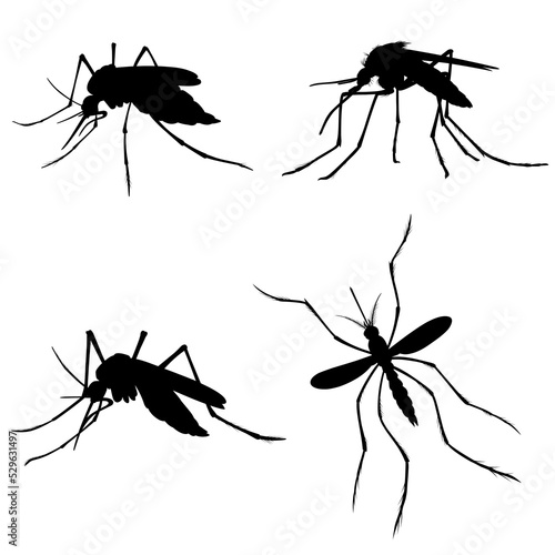 set of mosquito silhouettes © senimanto