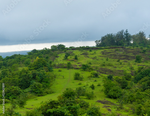 Green mountain of posadi gumpe , Kerala, India photo