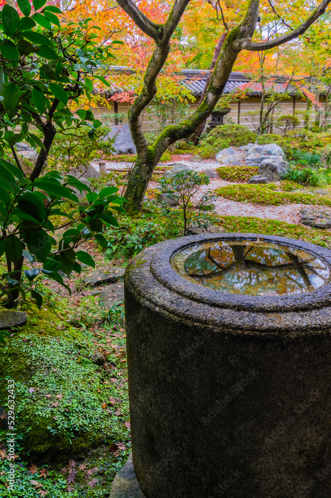 京都の紅葉