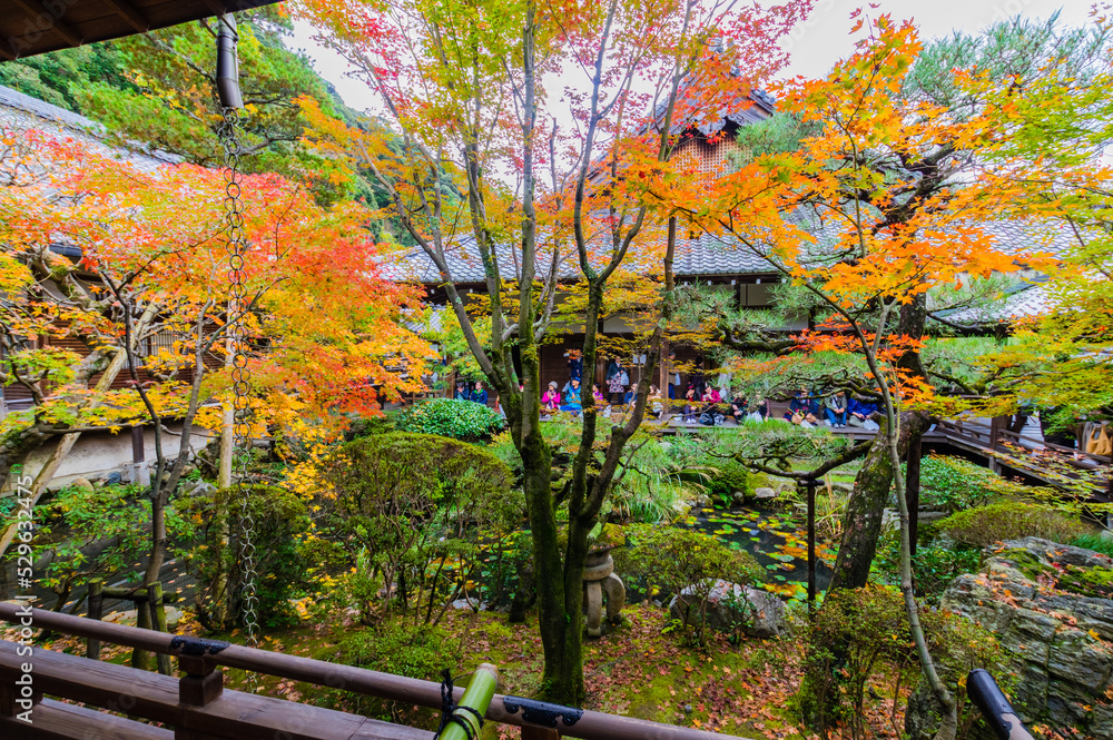 京都の紅葉
