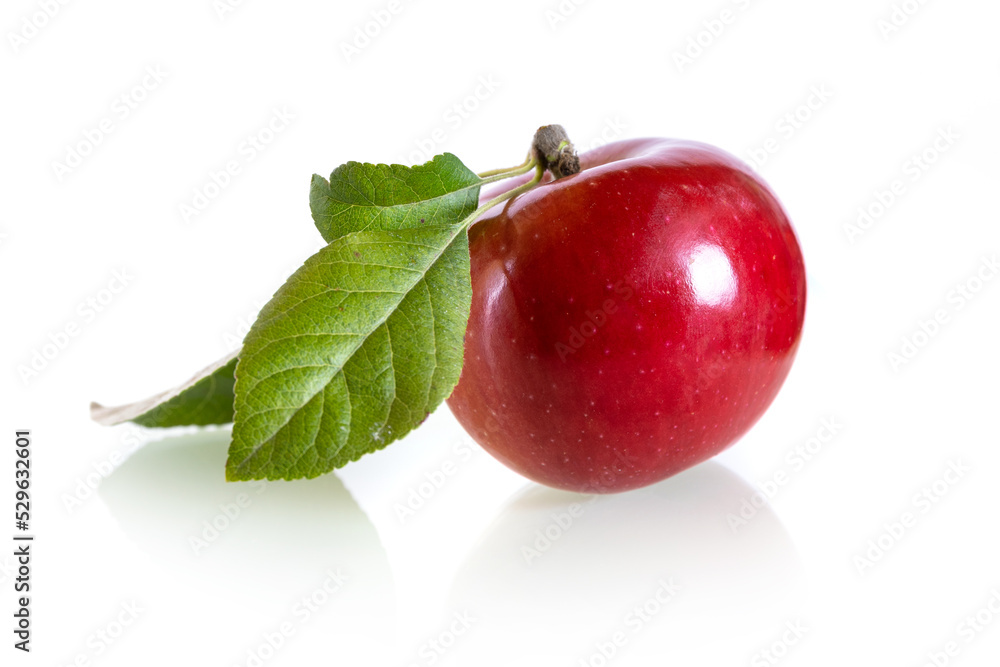 One fresh red apple isolated on a white background One fresh red apple isolated on a white background