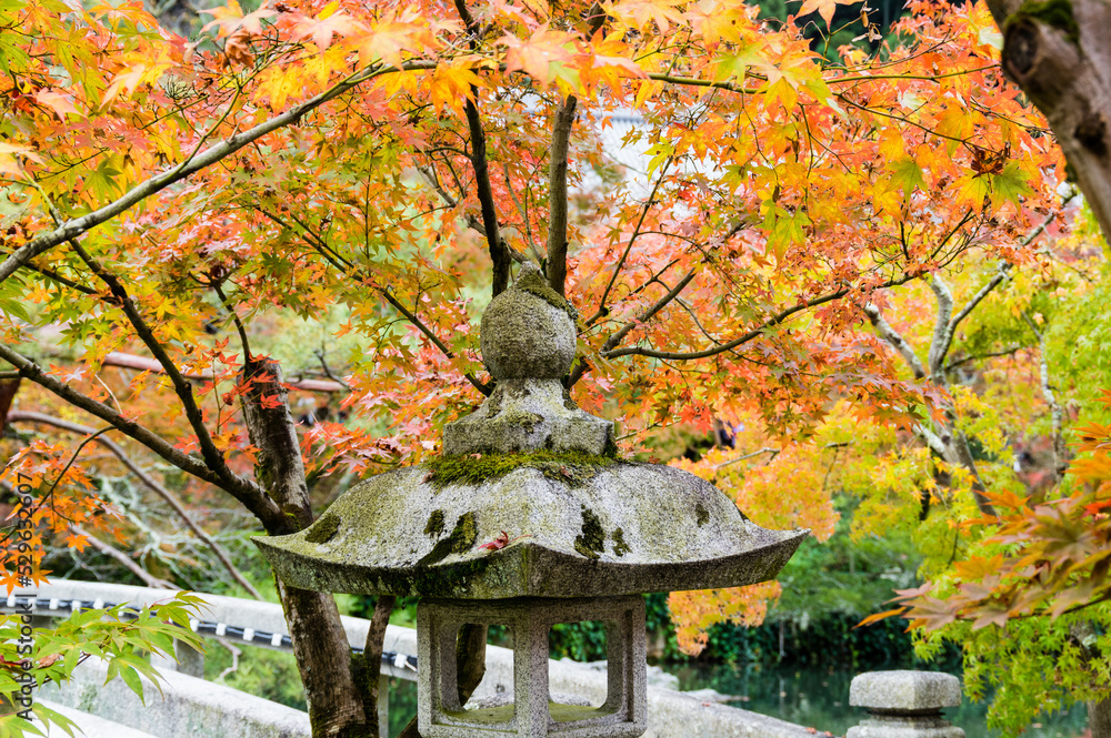 京都の紅葉