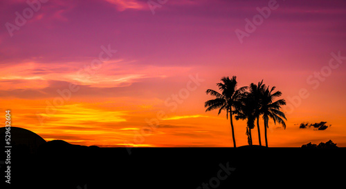 Amazing sunset and sunrise.Panorama silhouette tree in africa with sunset.Dark tree on open field dramatic sunrise.Safari theme.