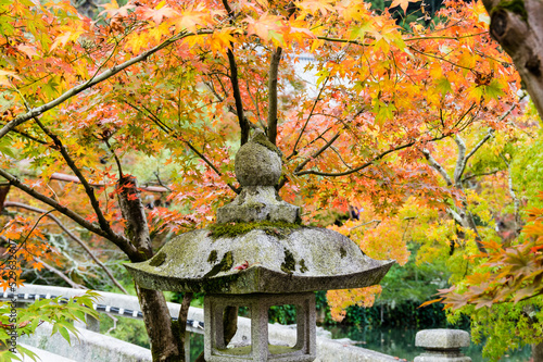 Obraz na płótnie 京都の紅葉 w salonie