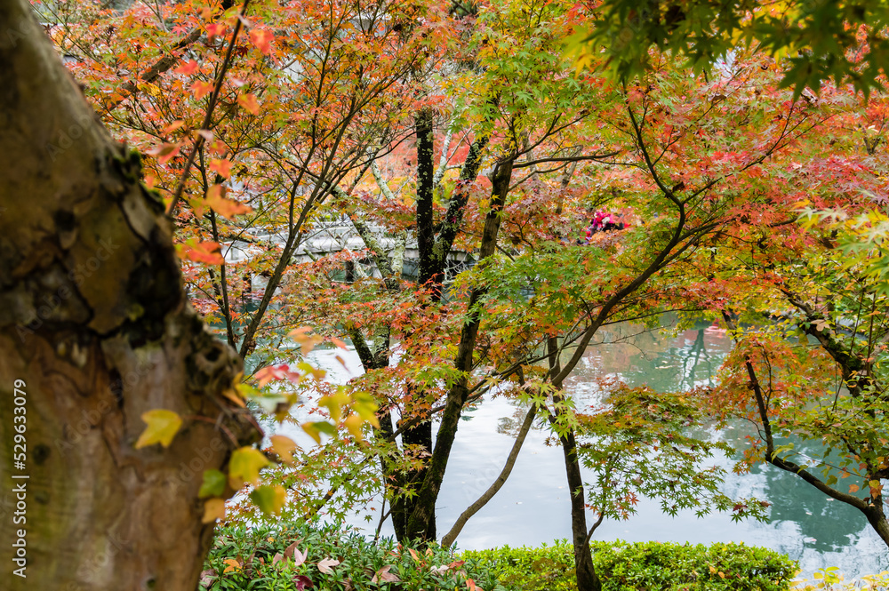 京都の秋