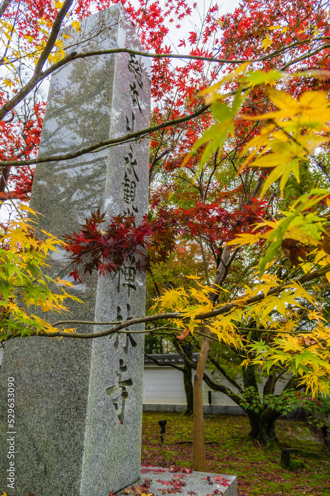 京都の秋