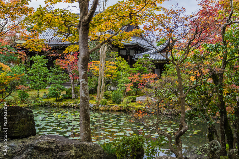 京都の秋