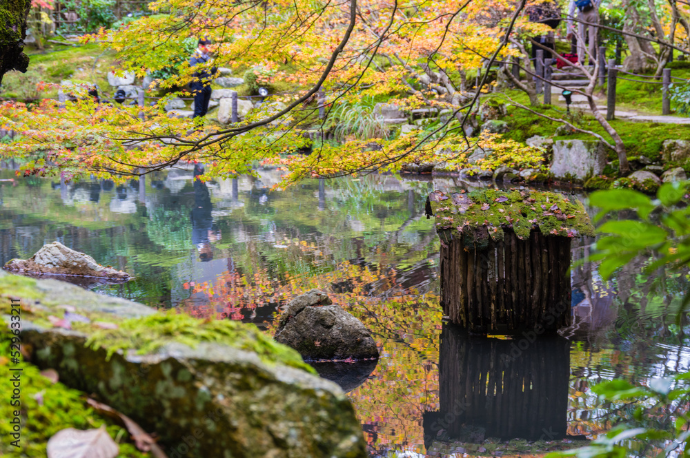 京都の秋