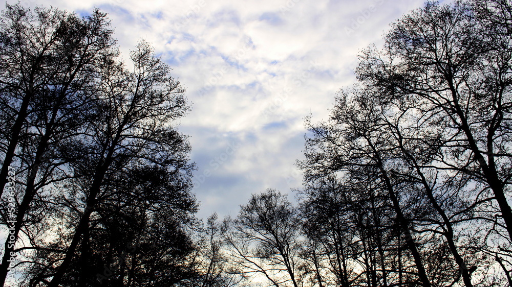 Himmel Himmel