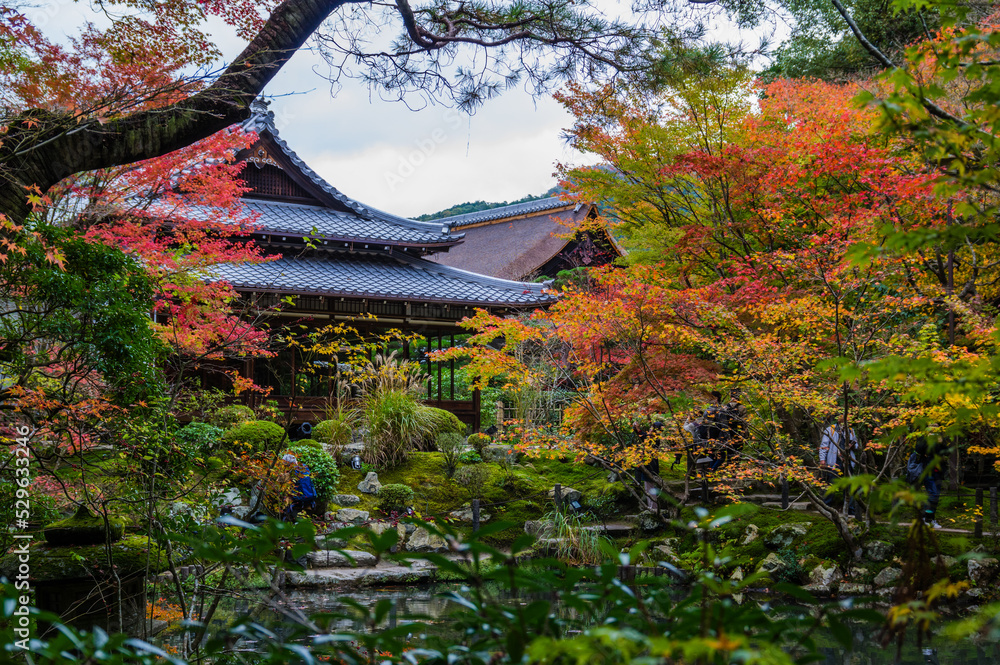 京都の秋