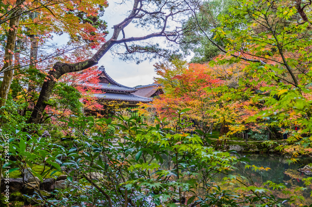 京都の秋