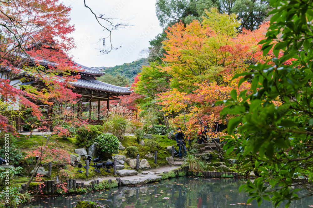 京都の秋
