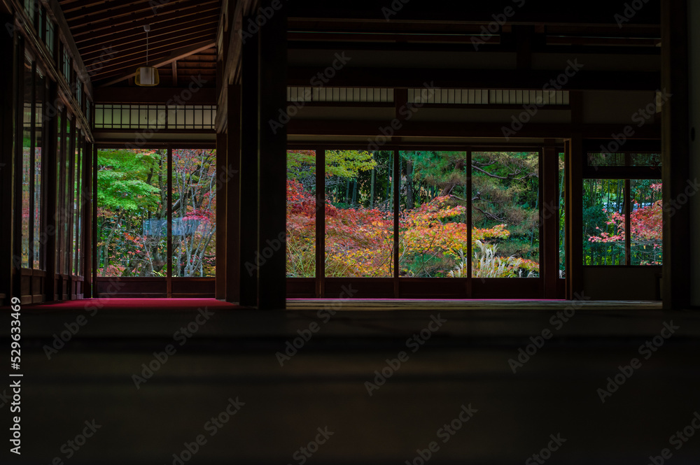 京都の秋