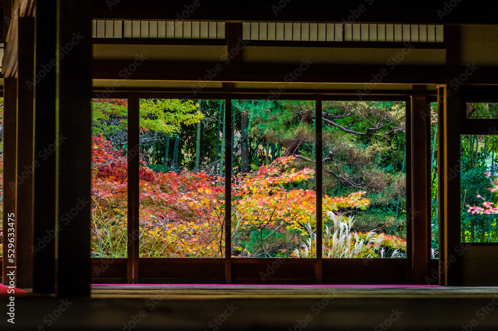 京都の秋