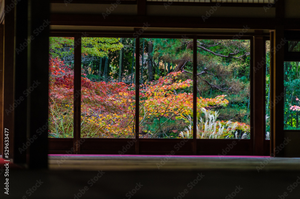 京都の秋
