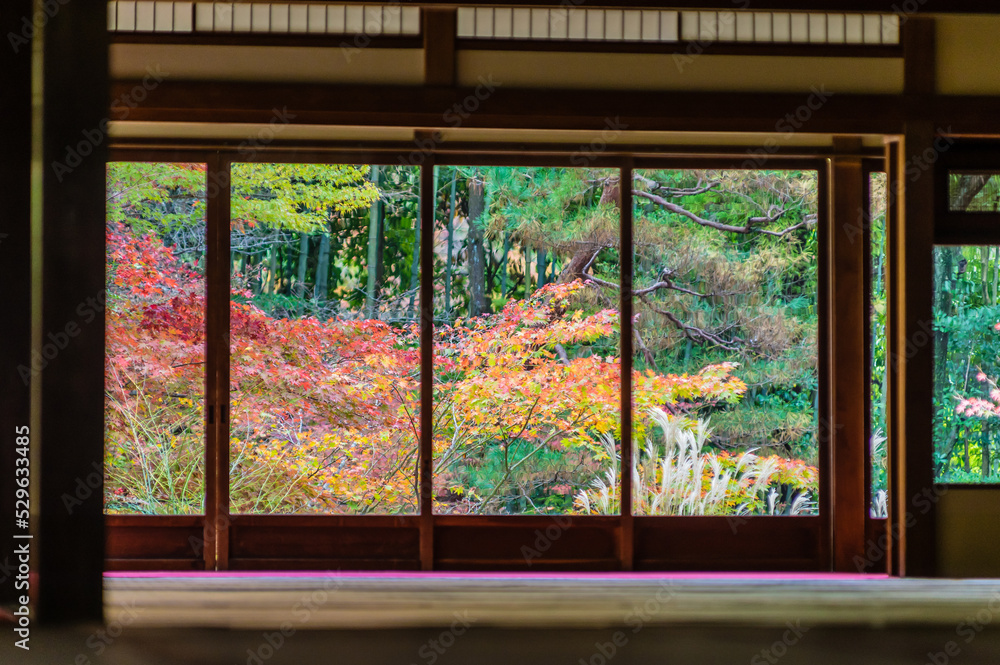 京都の秋
