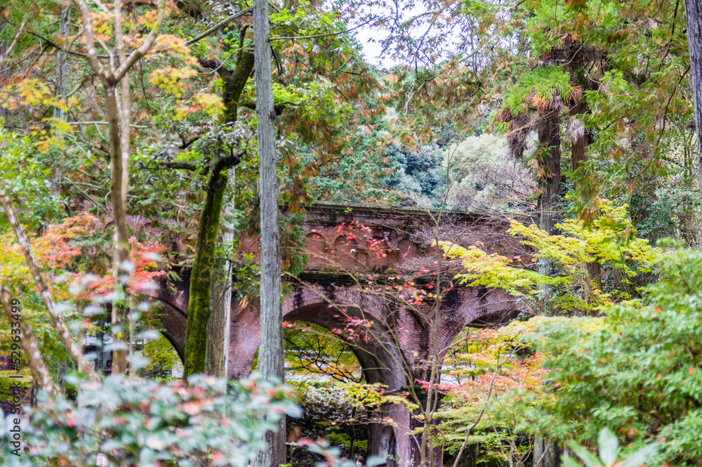 京都の秋
