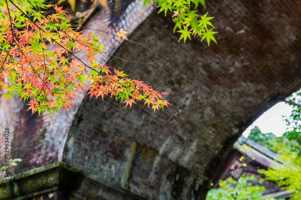 京都の紅葉