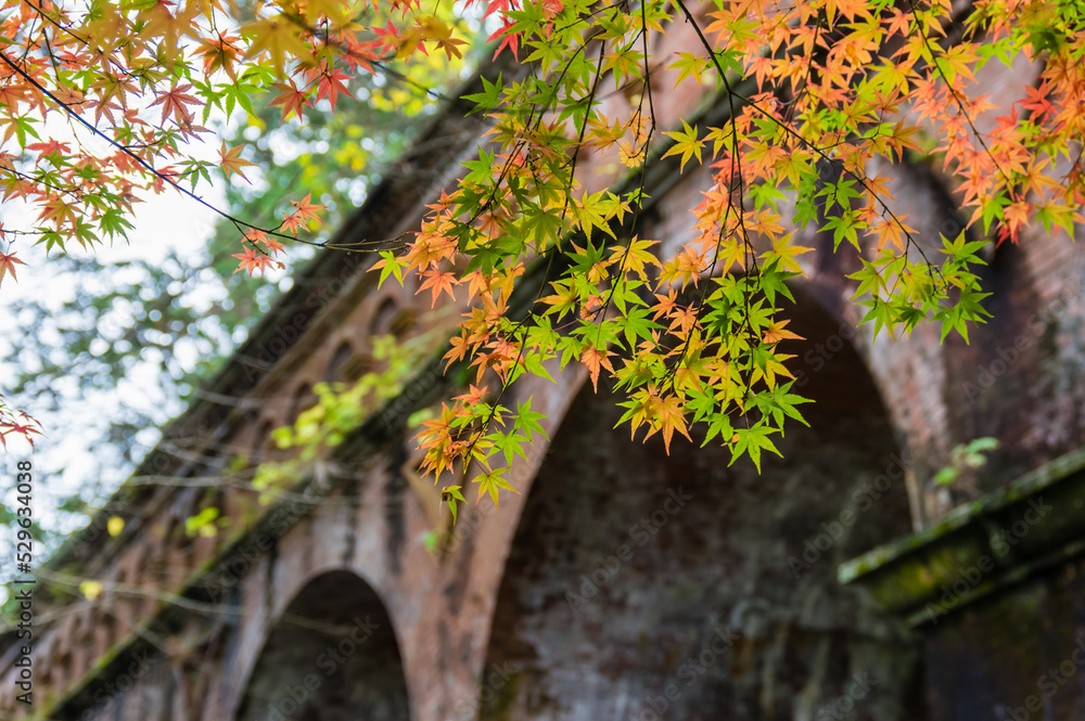 京都の紅葉