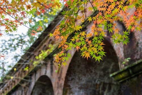 Obraz na płótnie 京都の紅葉 w salonie